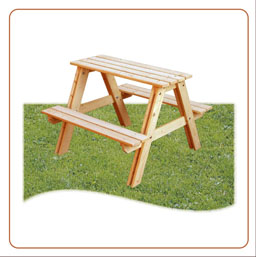 Piknik PN-81